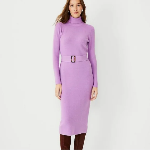 NWT Ann Taylor Belted Turtleneck Sweater Dress - Picture 1 of 5
